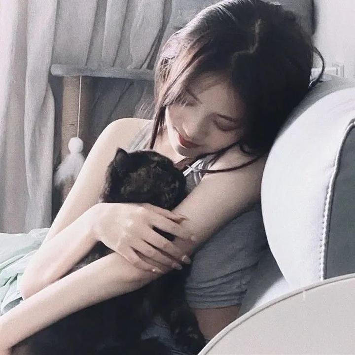 玩伴猫耳娘